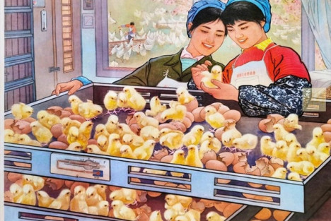 论计划经济（六）——竞争毫无意义篇